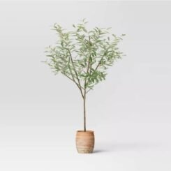 72" Olive Artificial Tree with Cement Pot - Threshold designed with Studio McGee